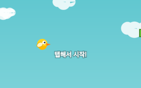 플래피 비행
